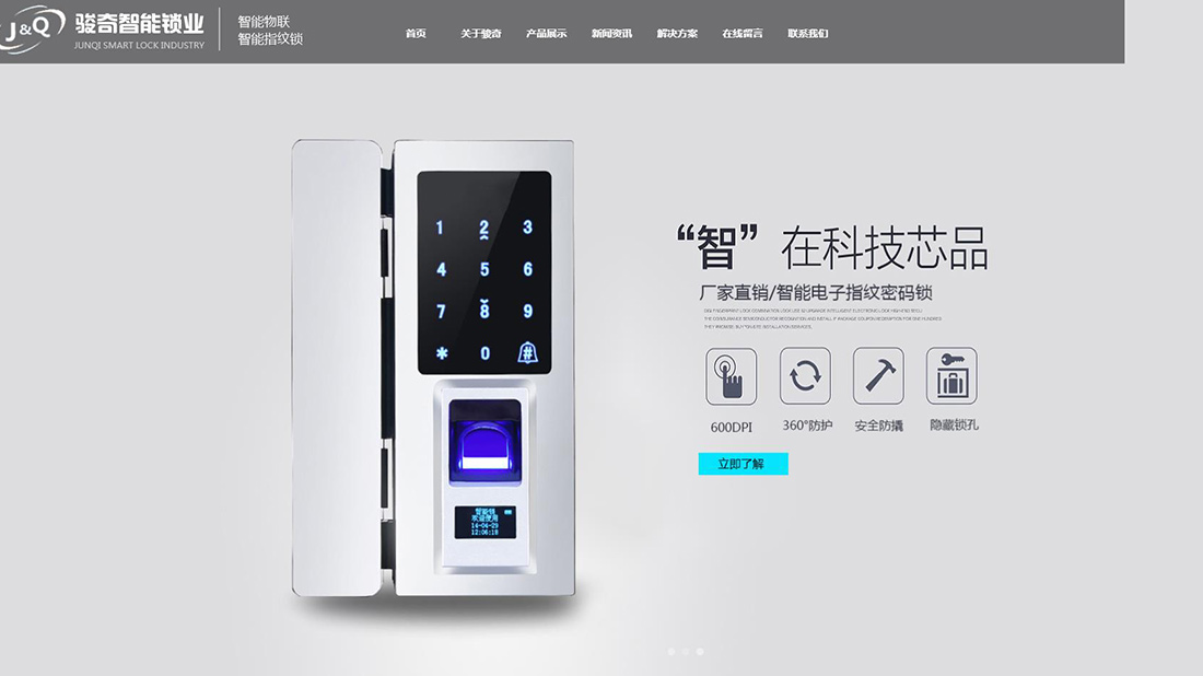 IT互联网网站案例