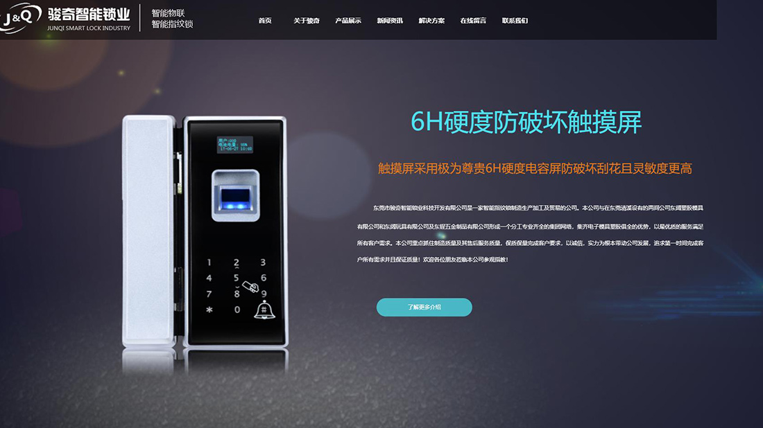 IT互联网网站案例