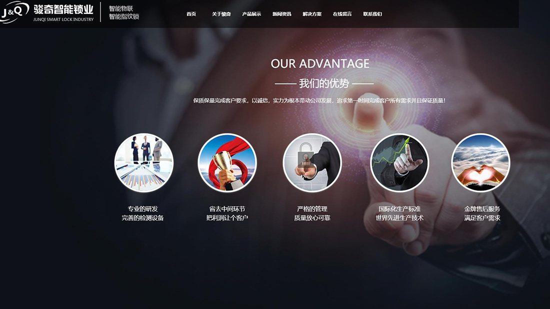 IT互联网网站案例