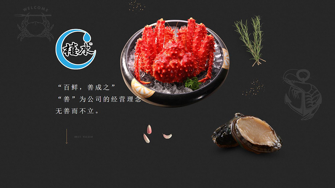 其它网站案例