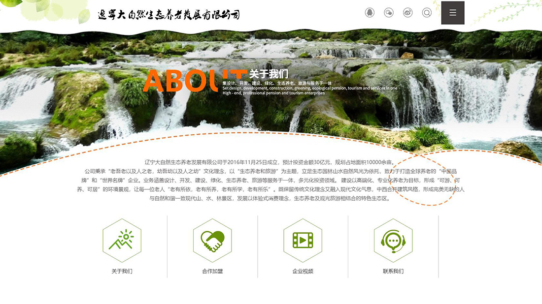商业服务网站案例