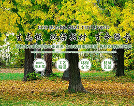 锦屏县东南木业有限公司