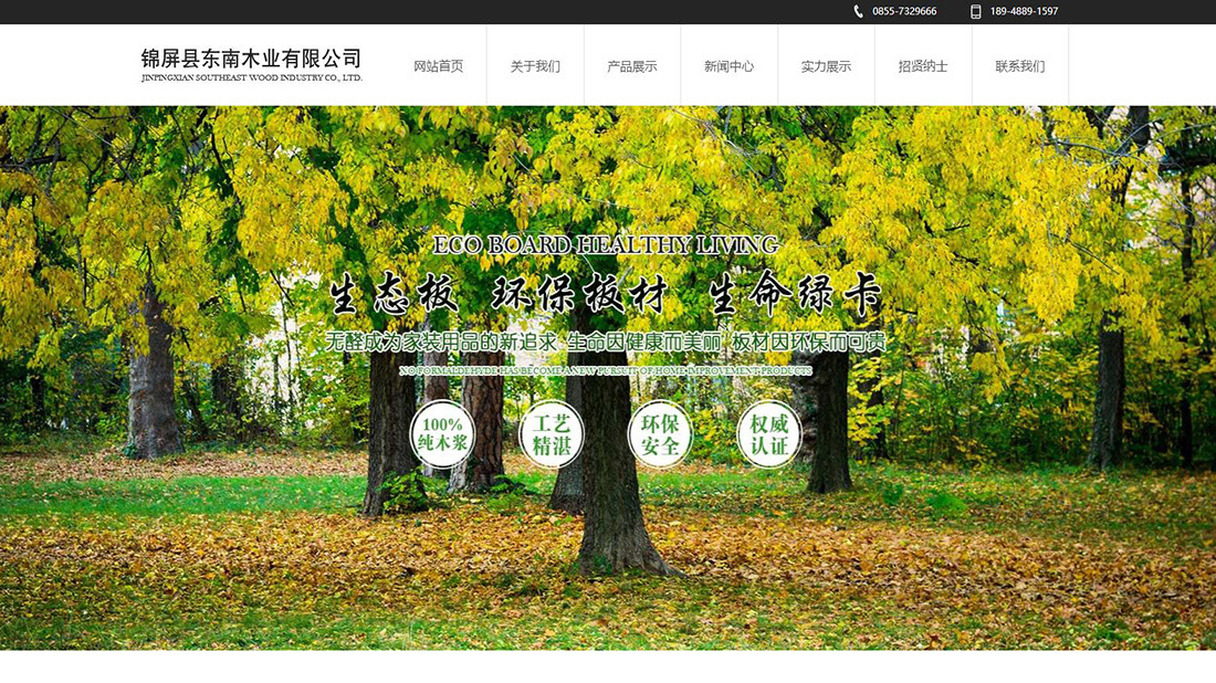 家装建材网站案例