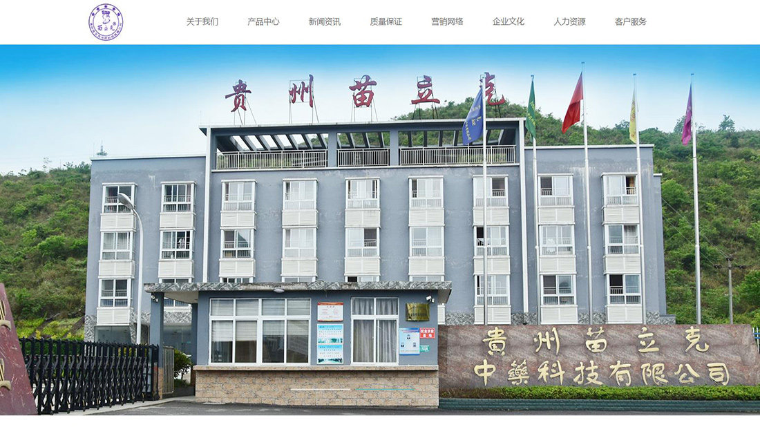 医疗健康网站案例