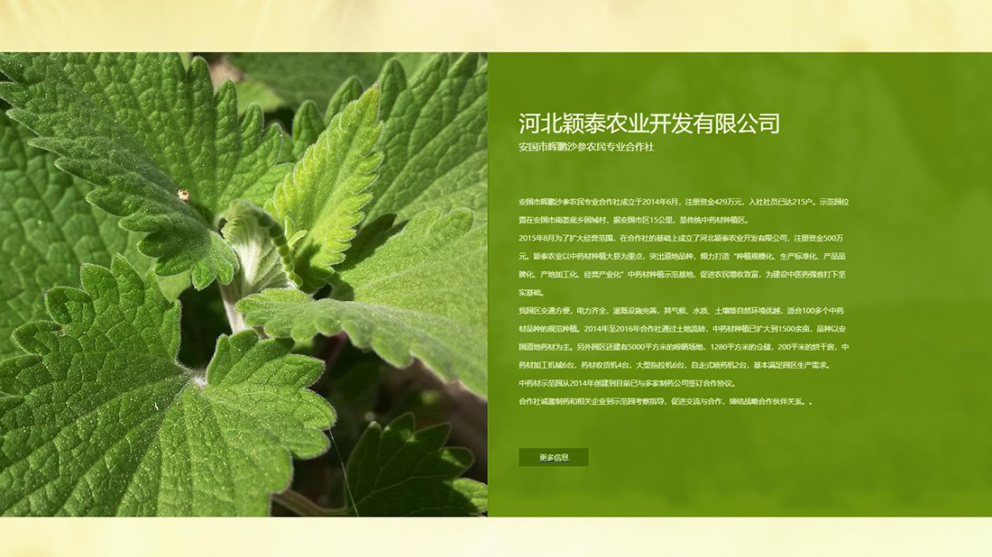 农副产品网站案例