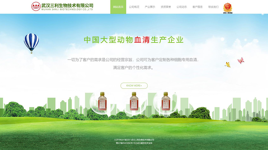 其它网站案例