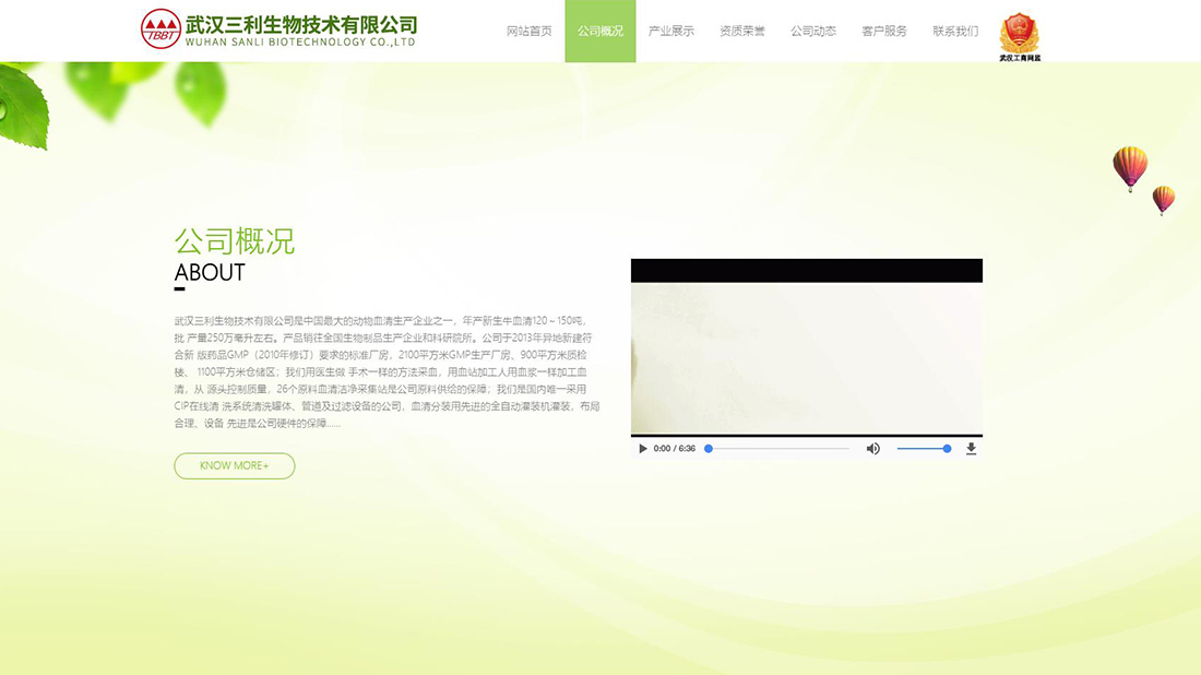 其它网站案例