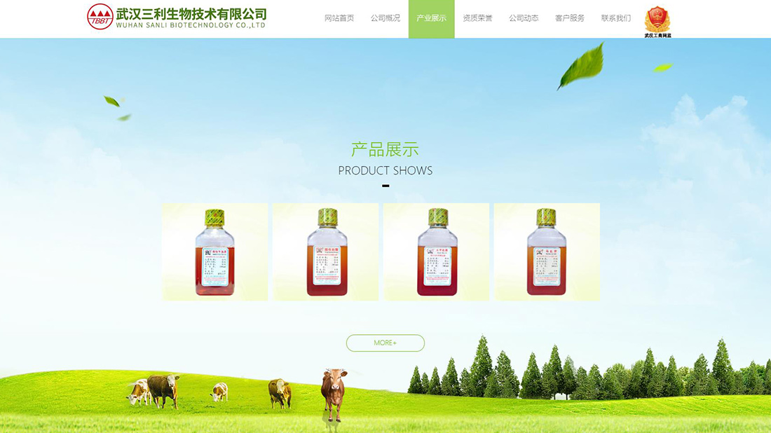 其它网站案例