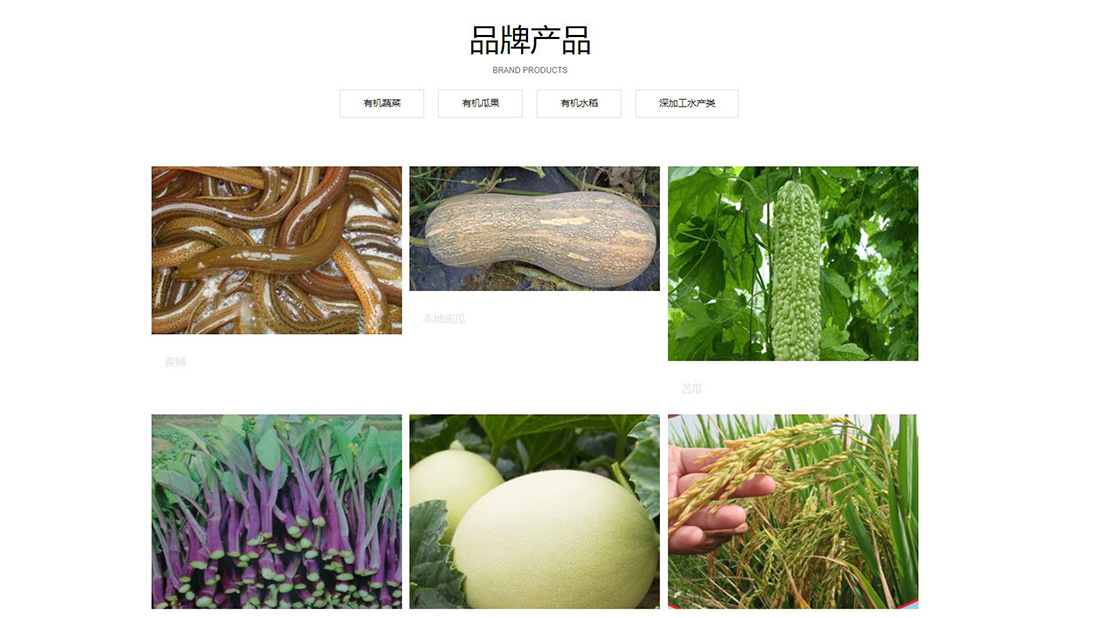 农副产品网站案例