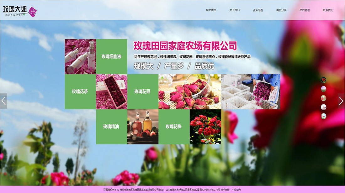 农副产品网站案例