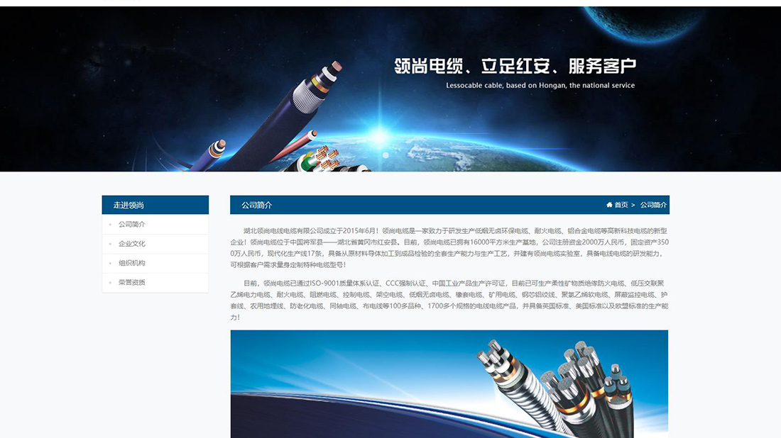 电子电工网站案例