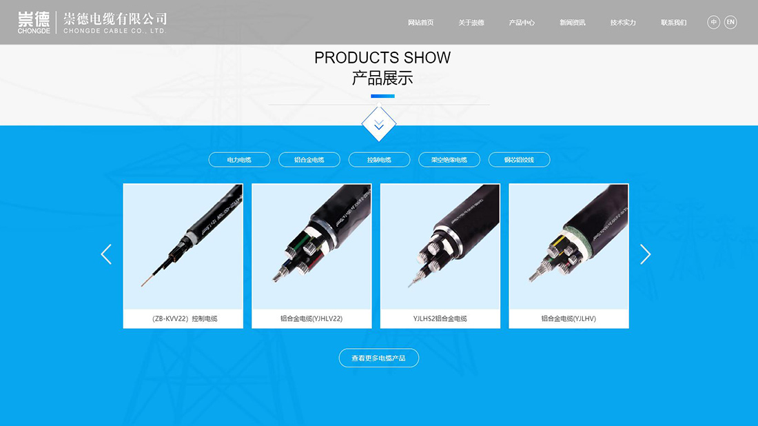 电子电工网站案例