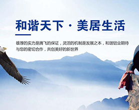 江西和谐铝业有限公司