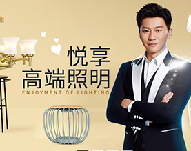 广东三雄极光照明股份有限公司