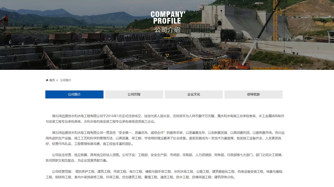 其它网站案例
