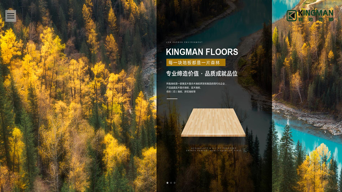 家装建材网站案例