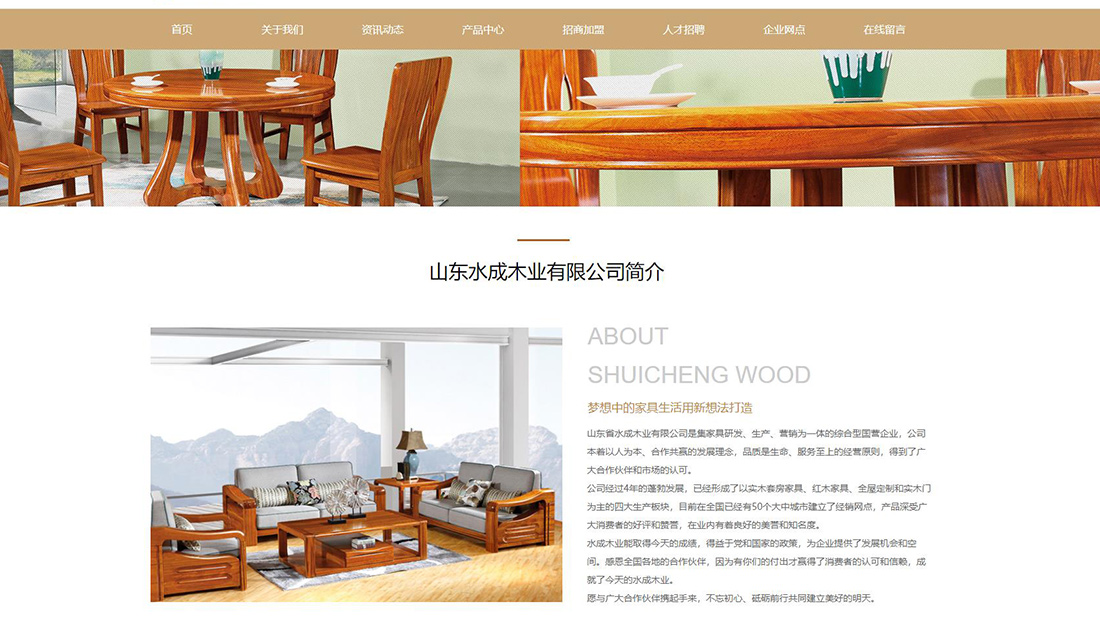 家装建材网站案例