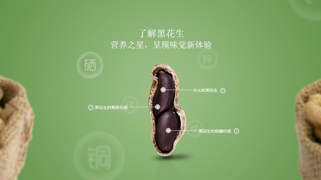 食品制造网站案例