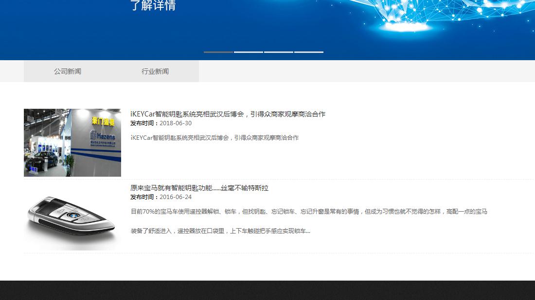 IT互联网/机械制造网站案例