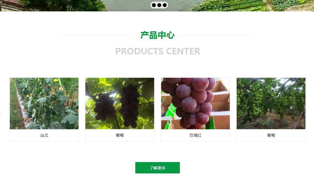 农副产品网站案例