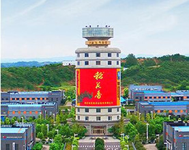 稻花香集团