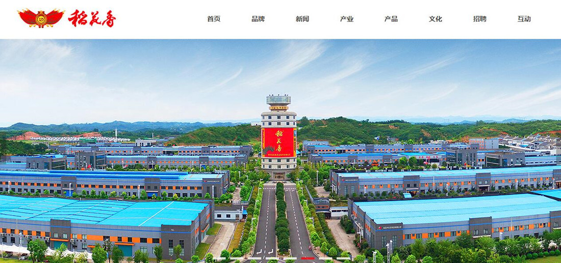 网站案例