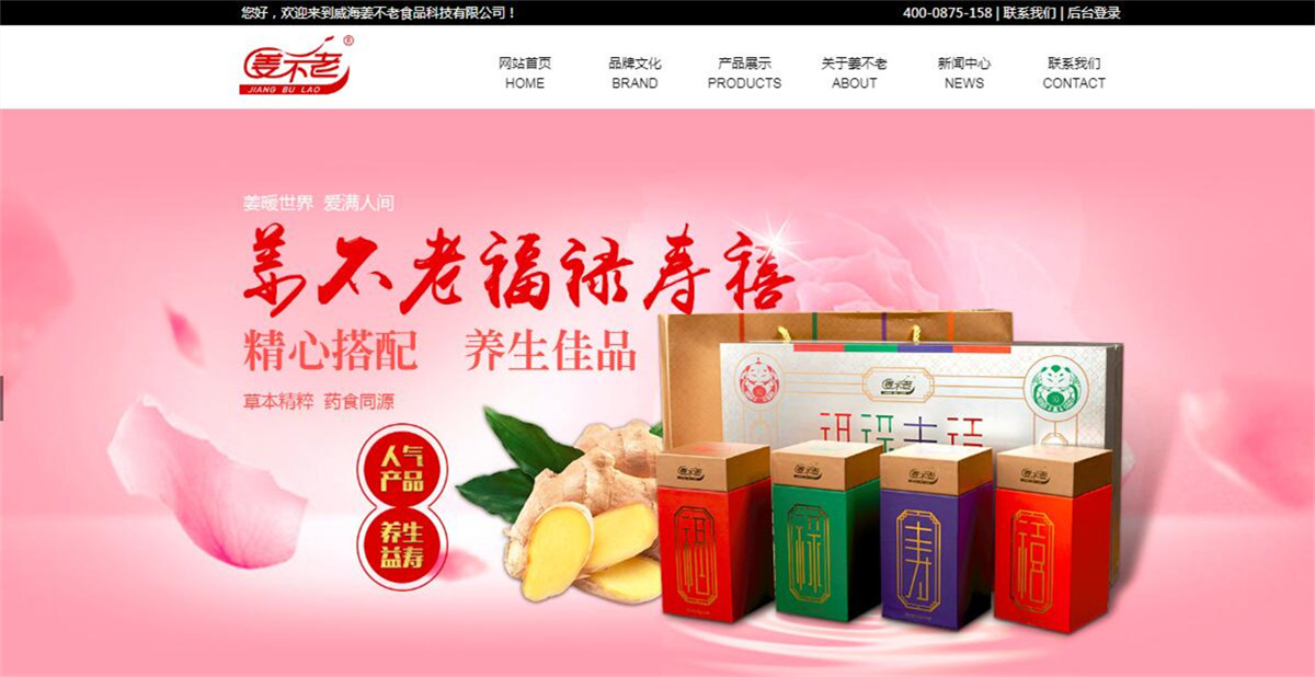 食品制造网站案例