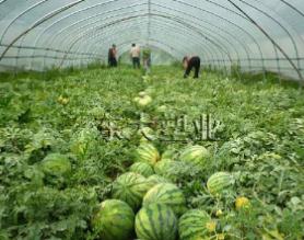 山东东大塑业有限公司