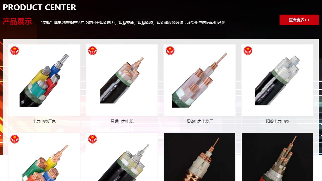 电子电工网站案例