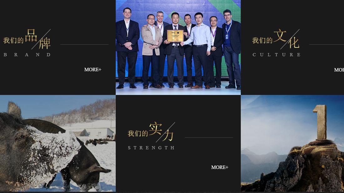 食品制造网站案例