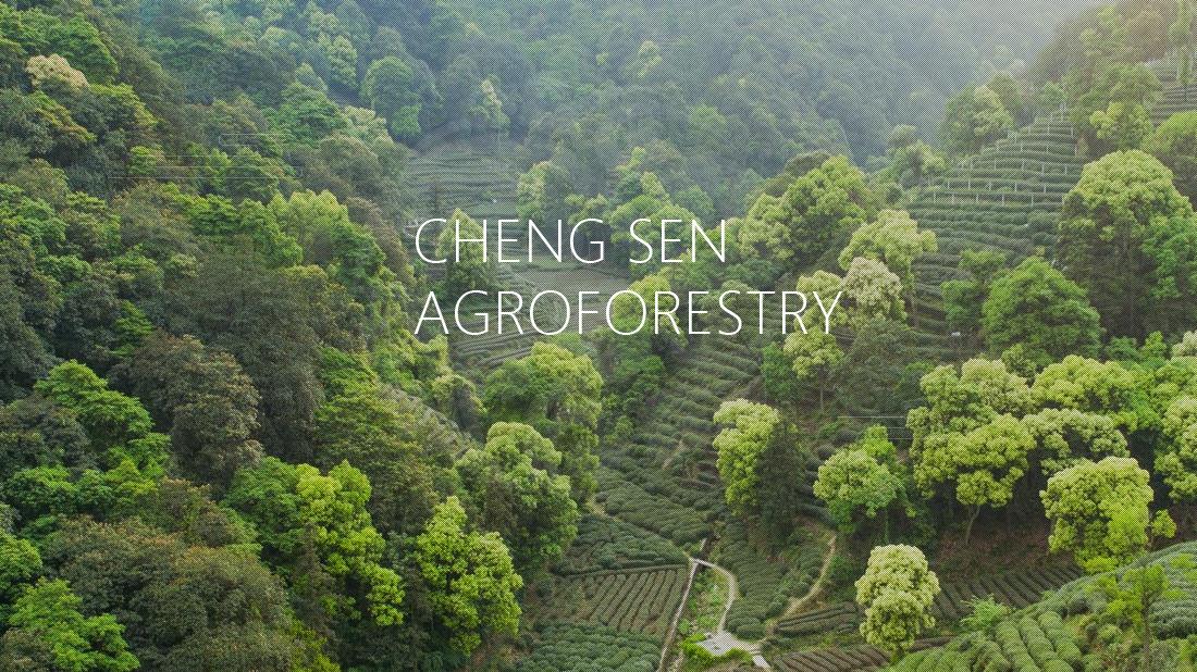 农副产品网站案例