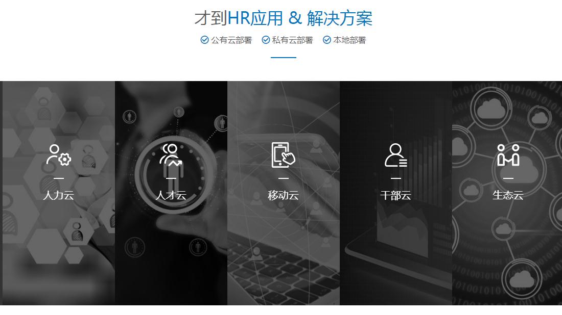 其它网站案例