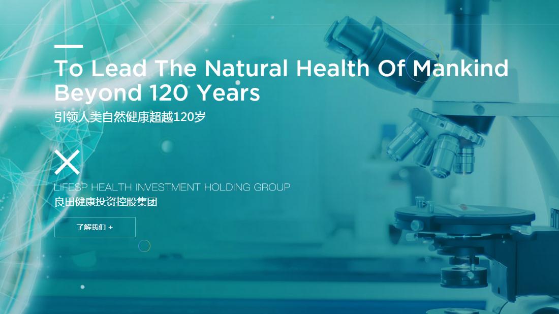 其它网站案例
