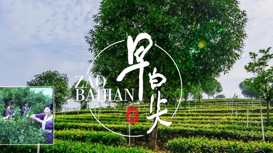 食品制造网站案例