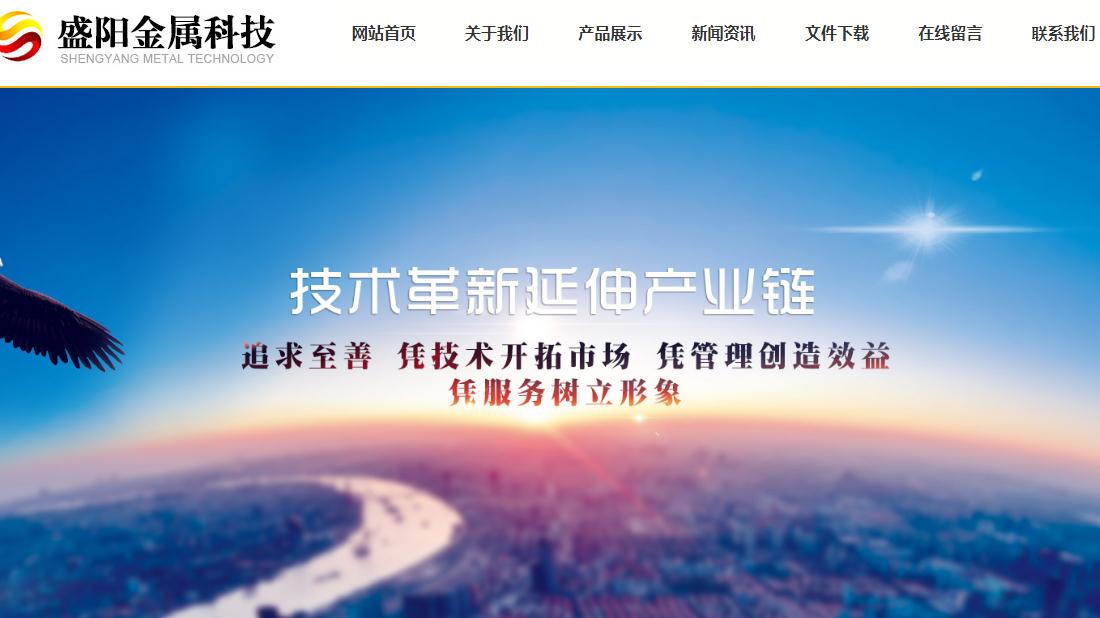 其它网站案例