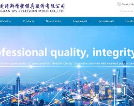东莞市IPS精密模具有限公司
