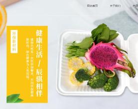 山东辰骐环保新材料科技有限公司