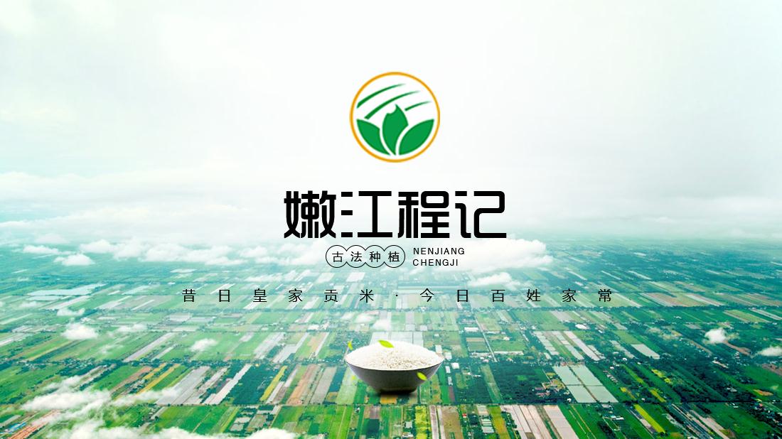 农副产品网站案例