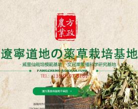 辽宁方政农业科技发展有限公司