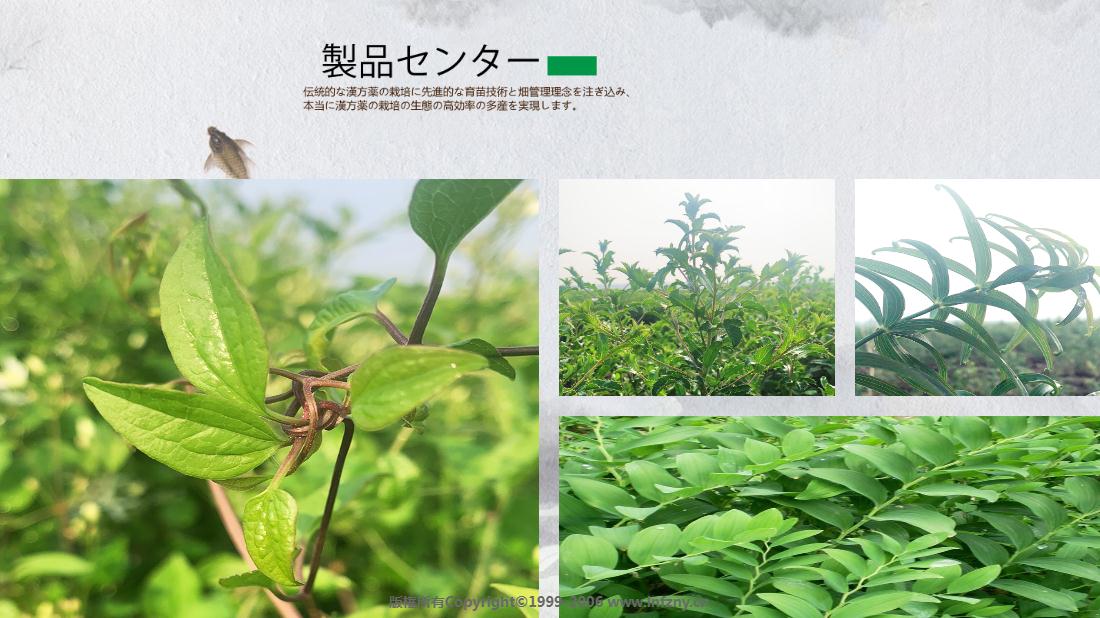 医疗健康网站案例