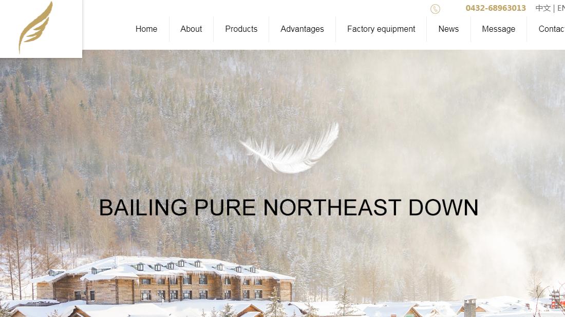 纺织服装网站案例