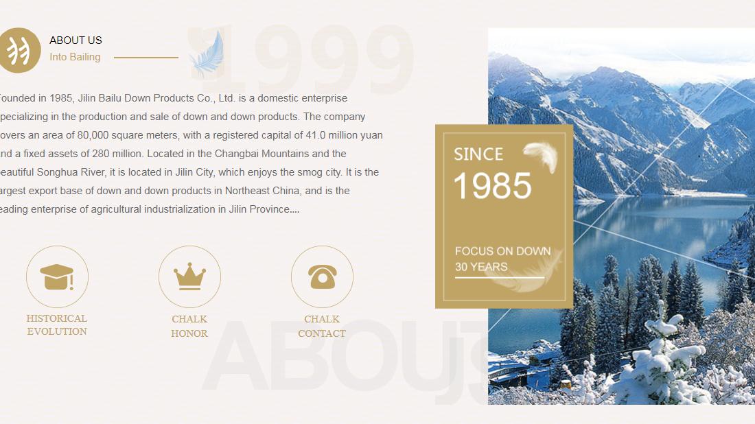 纺织服装网站案例