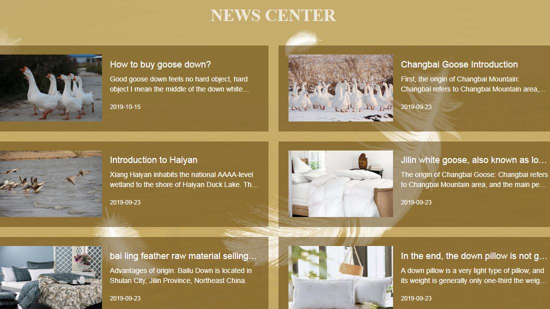 纺织服装网站案例