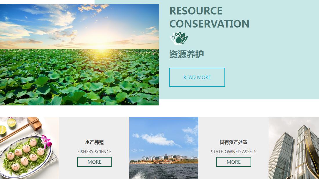 食品制造网站案例