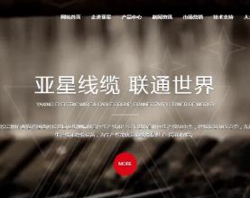 亚星线缆集团