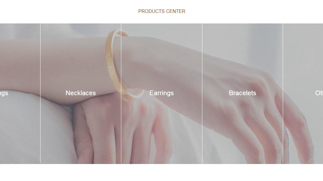 珠宝首饰网站案例