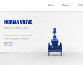 天津诺玛阀门有限公司