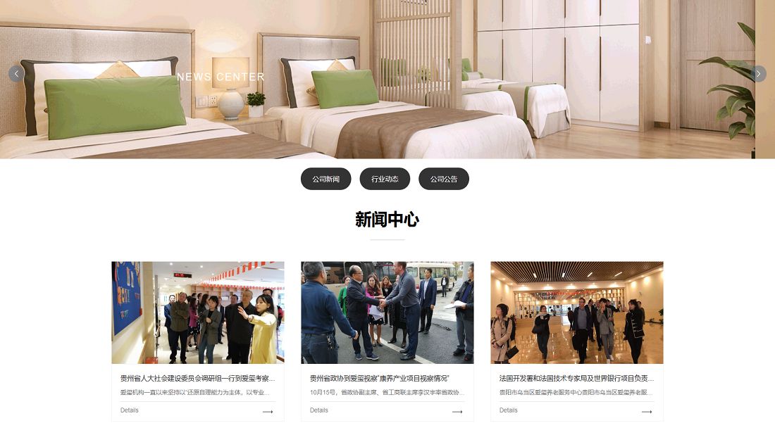 其它网站案例
