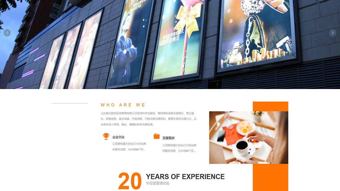 其它/房地产网站案例