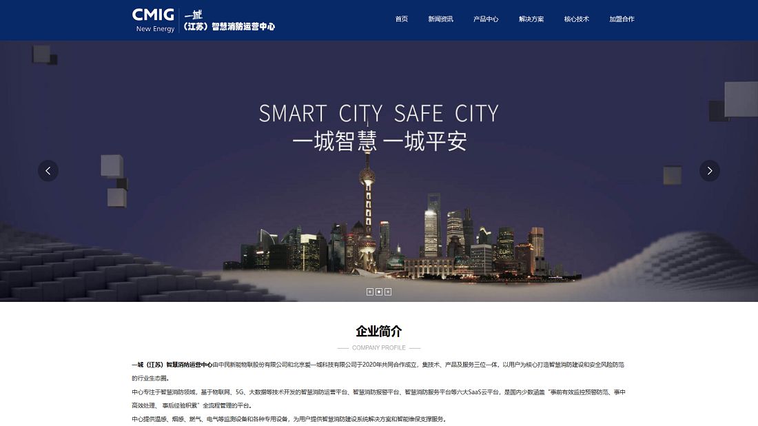 IT互联网网站案例